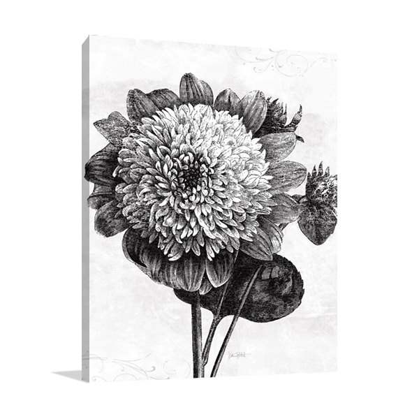 Spa Botanical II BW Wall Art Print