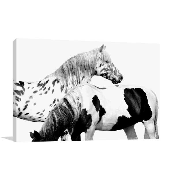 Spotted and Pinto Wall Art Print