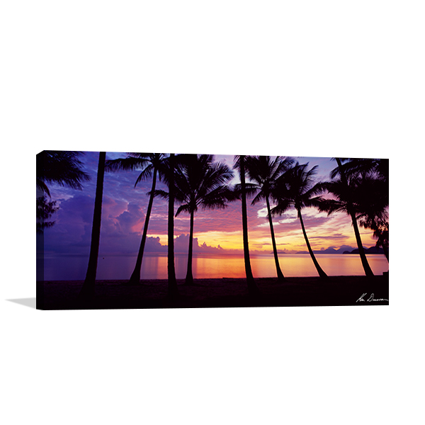 Sunrise Palm Cove Wall Print | Seascape Wall Art Print