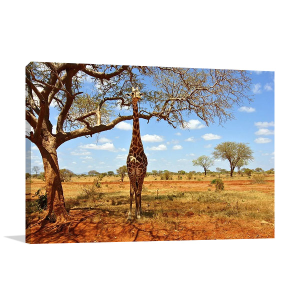 African Giraffe Wall Print