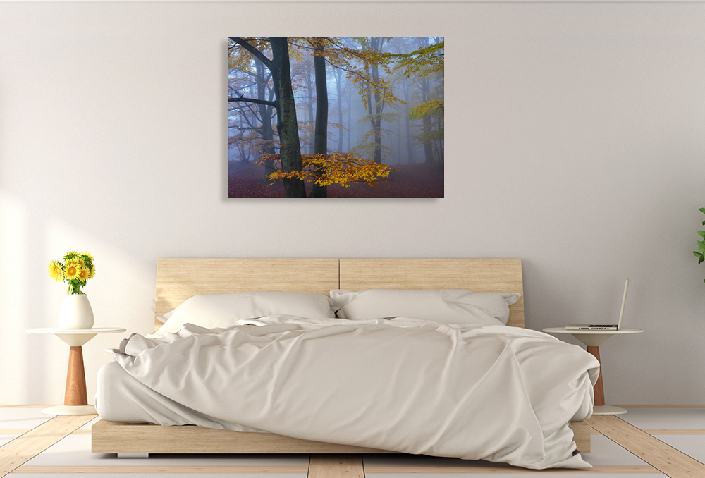 Landscape Canvas Art Print