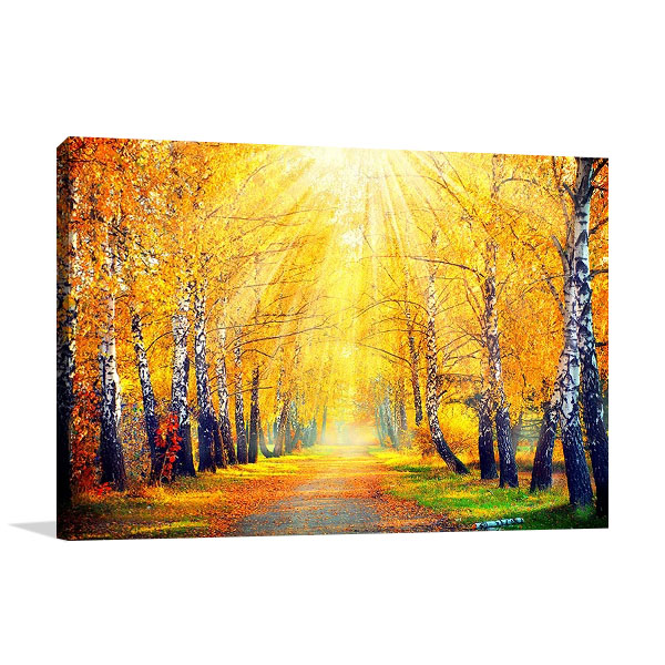 Autumn Sun Rays Canvas Print