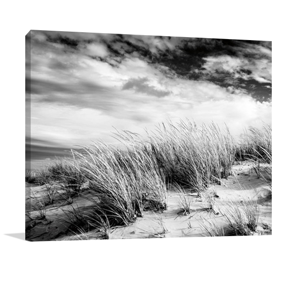 Beach Dunes Wall Art Print