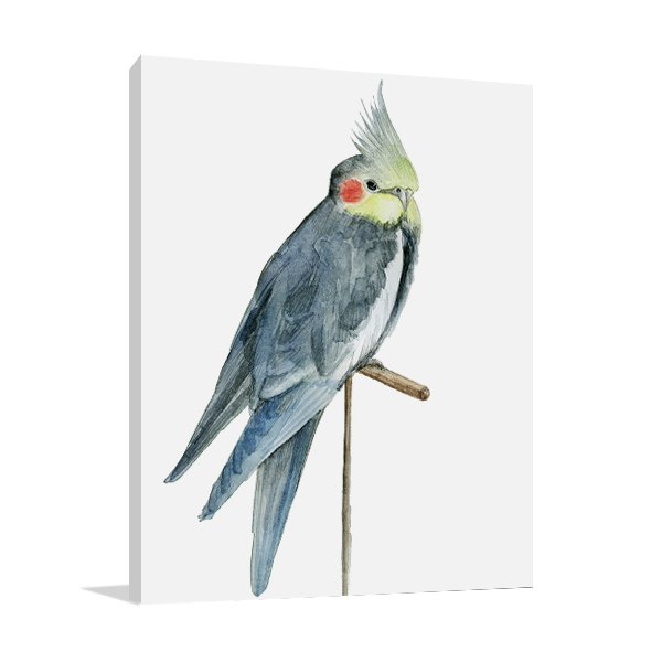 Bird I Wall Canvas Print