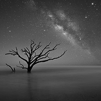 Black and White Wall Art Prints Australia Black and White Artwork Prints on Canvas