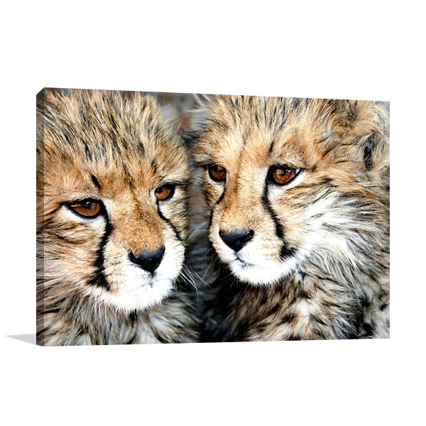 Cheetah Cubs Wall Art Print