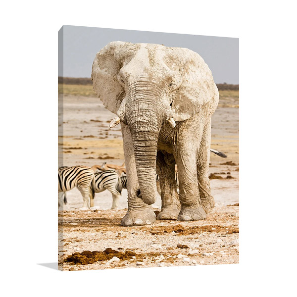 Elephant in Africa Wall Print