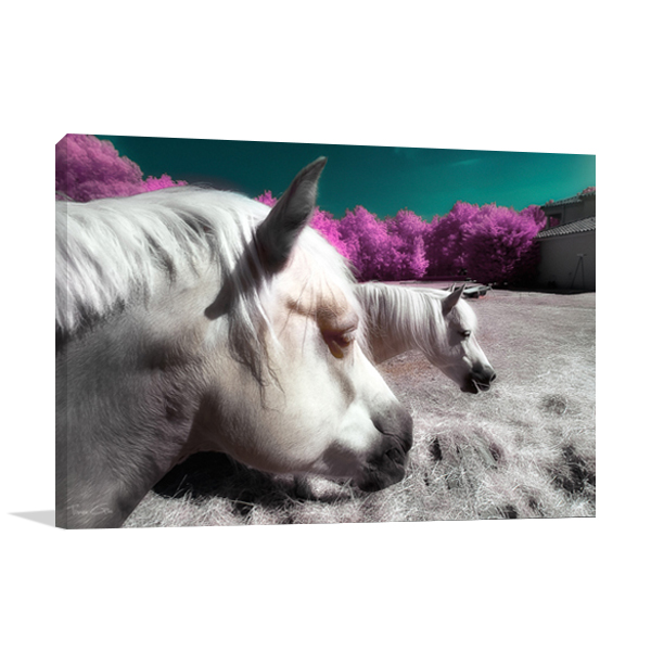 Fantasy Horses Wall Art Print