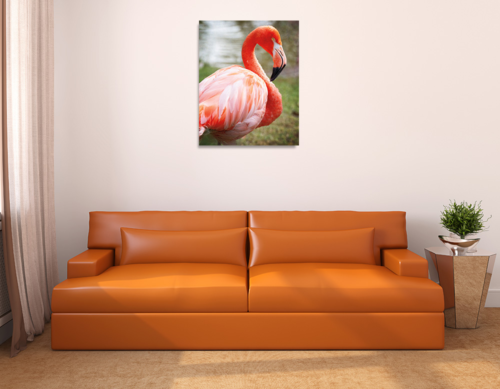 Animal Art Print on Canvas