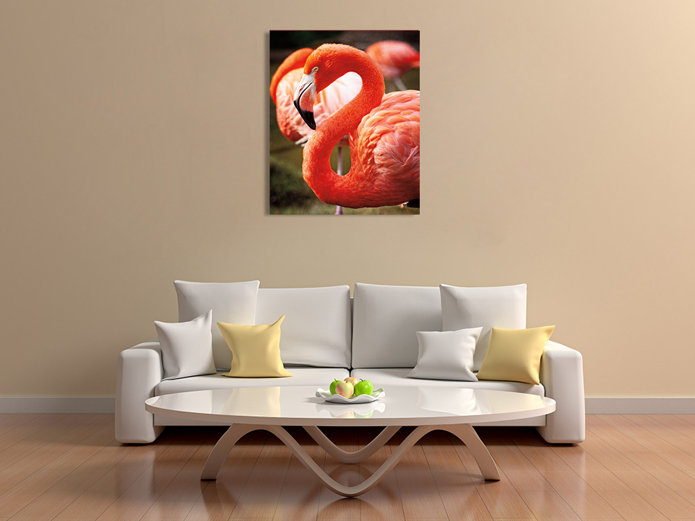 Animal Art Print on Canvas