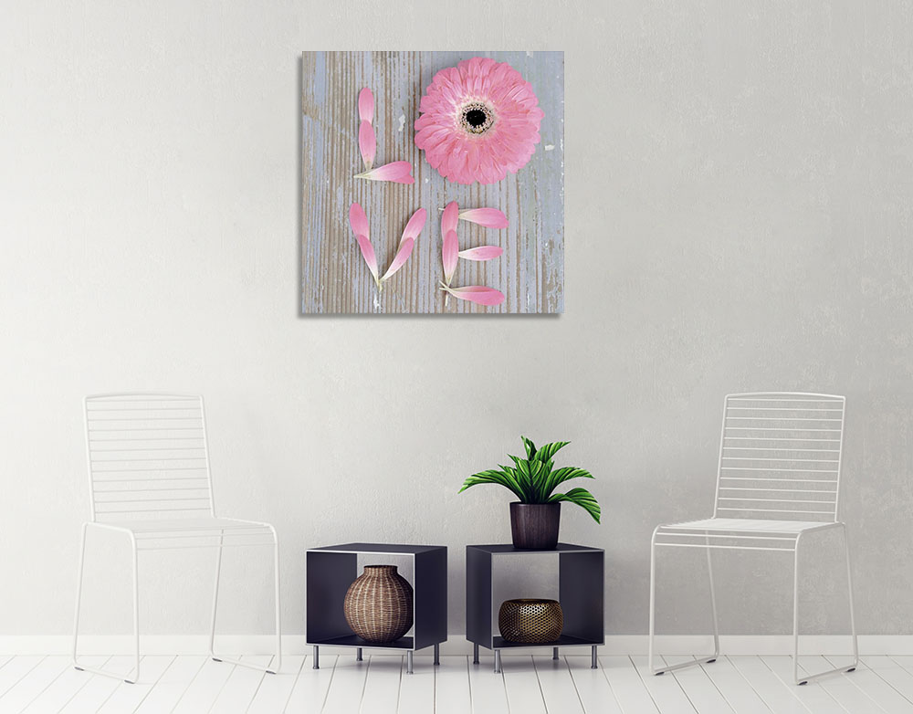 Pink Square Wall Canvas Print