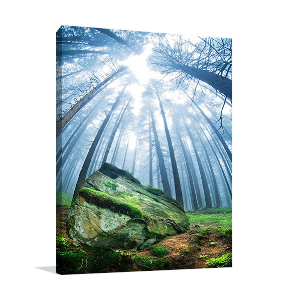 Forest Moss Grass Print on Canvas