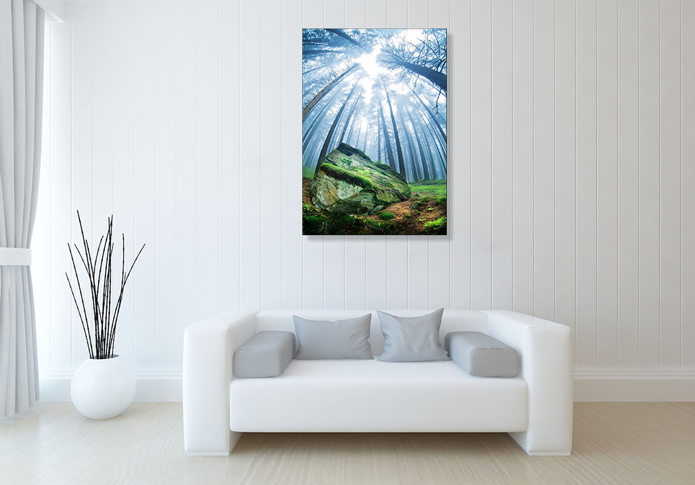 Nature Photography Print on Canvas