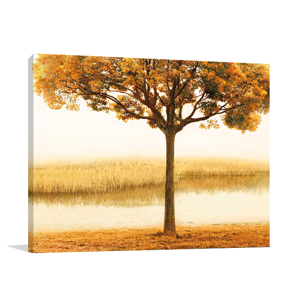 Golden Morning I Wall Art Print