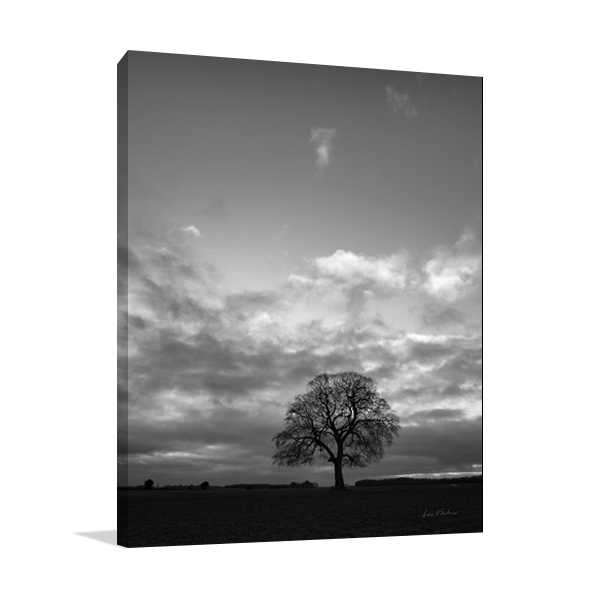 Horizon Tree Wall Art Print