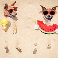 Humour Wall Art Prints Australia Humour Artwork Prints on Canvas