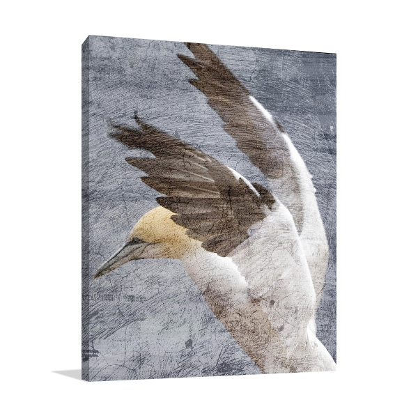 In Flight II Wall Art Print