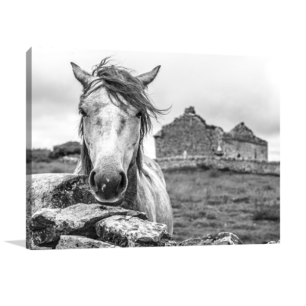 Ireland Horse Wall Art Print