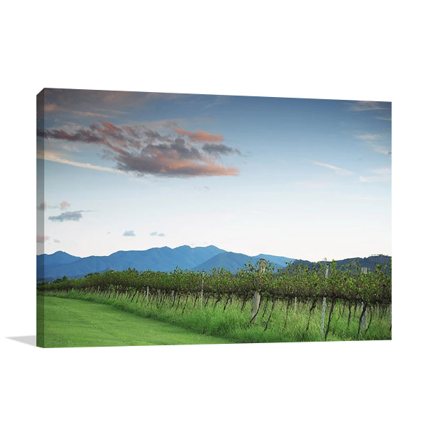 Lavender Farm Queensland Wall Print