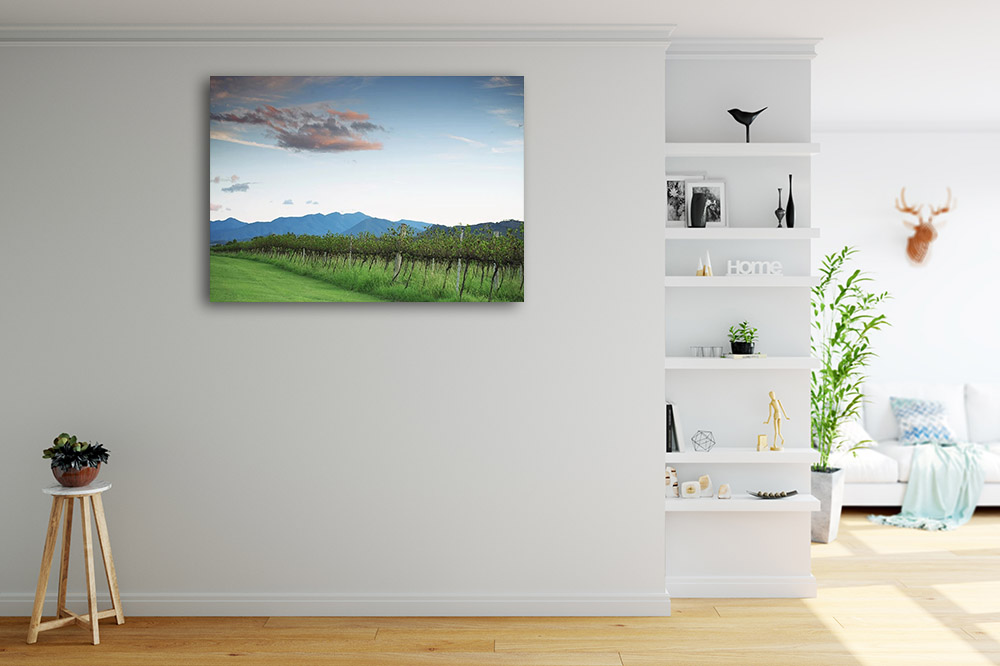 Queensland Australia Canvas Print