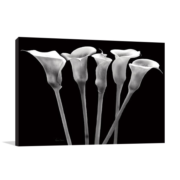 Lilies at Night Canvas Print | Katrina Craven