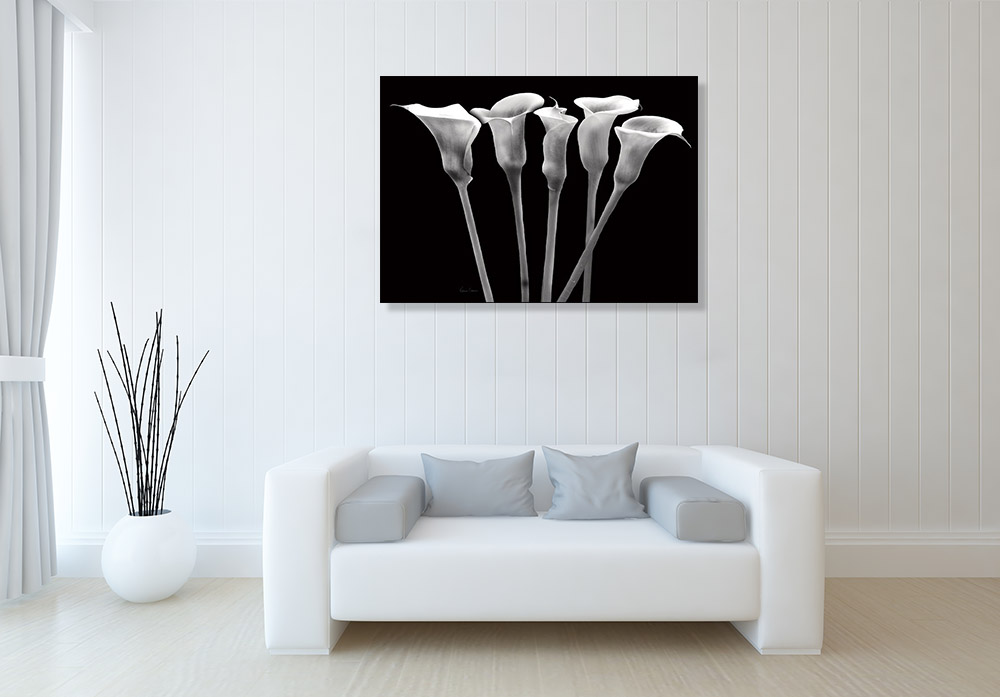 Black and White Digital Floral Print