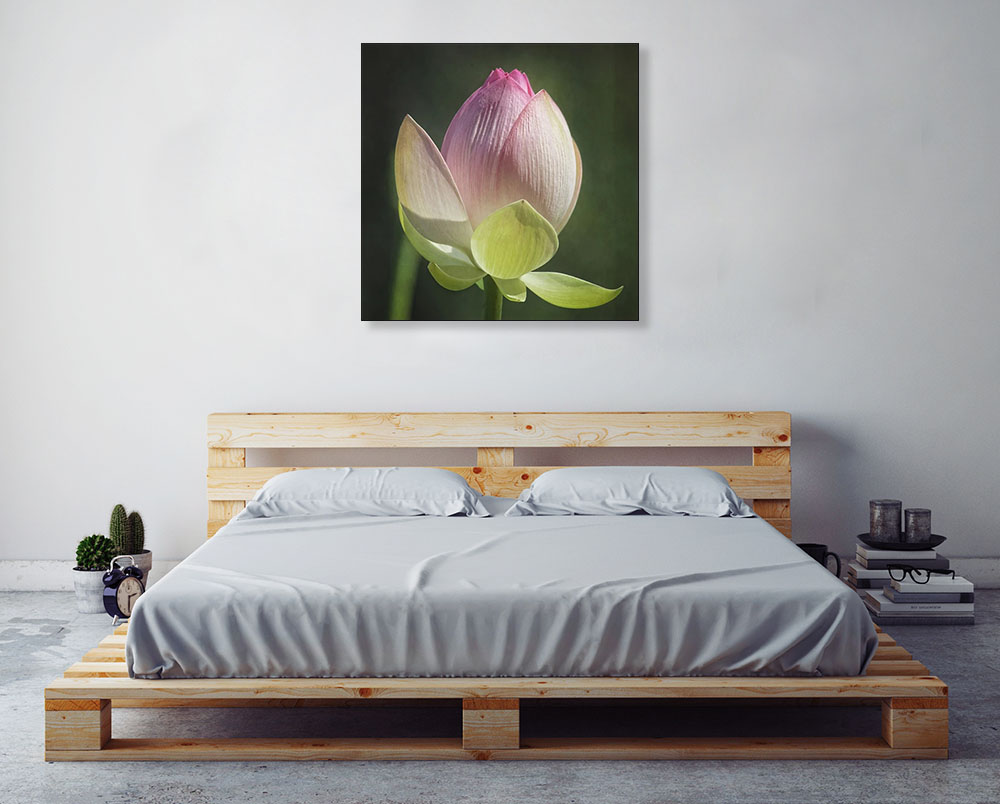 Flower Pink Lotus Photography Print