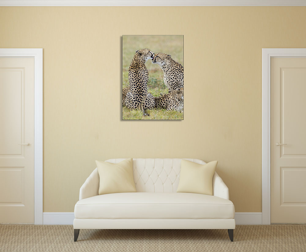 Animal Wall Canvas Print