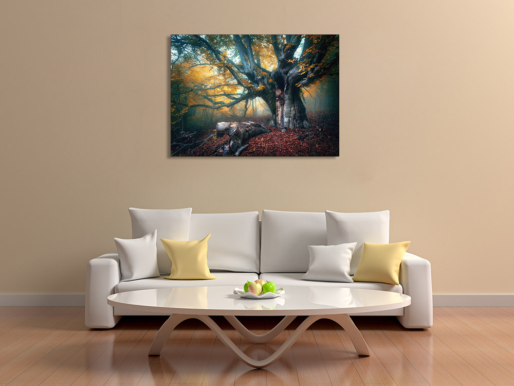 Landscape Photography Print on Canvas