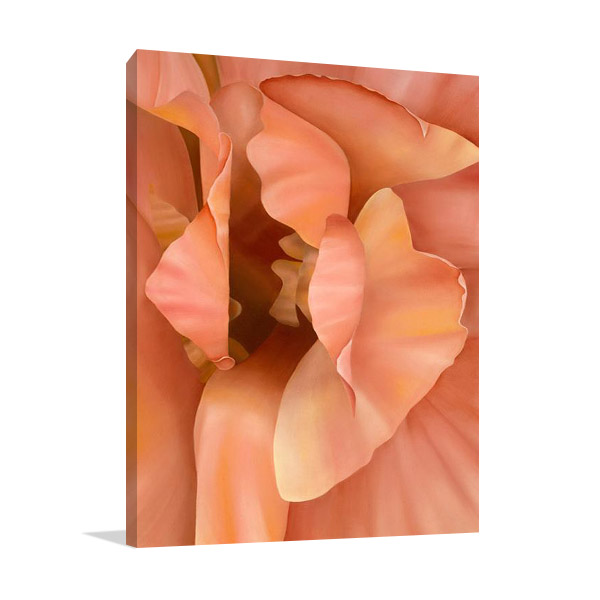 Orchid Wall Art Print | Cole