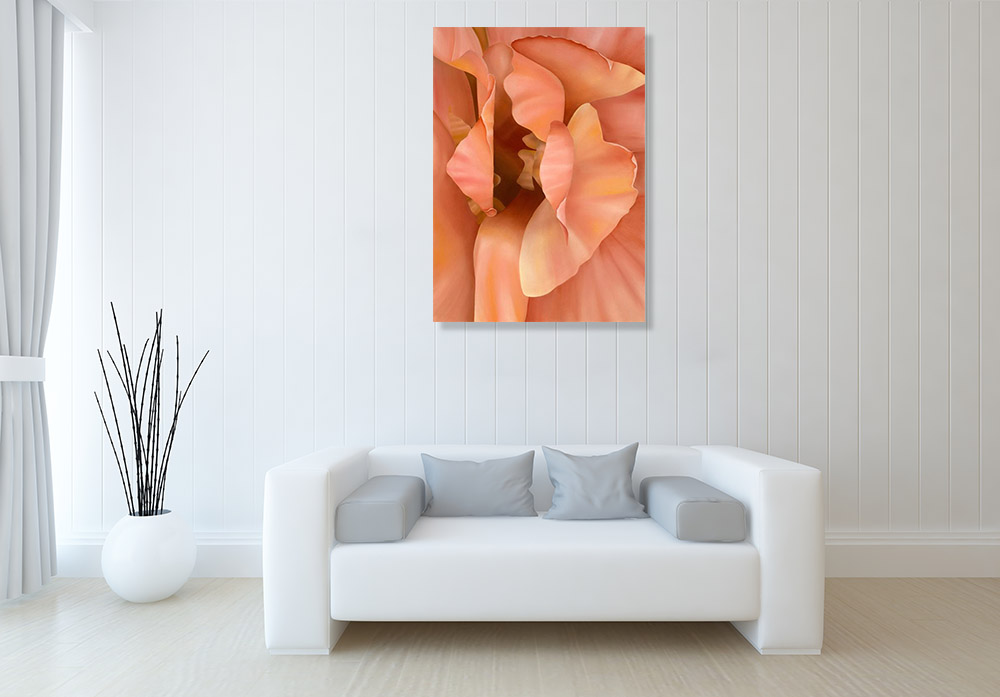 Peach Flower Canvas Print