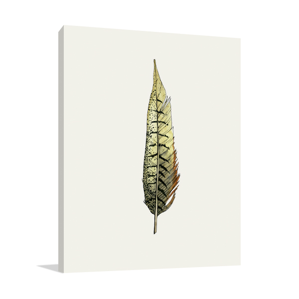 Painted Feather A Wall Art Print