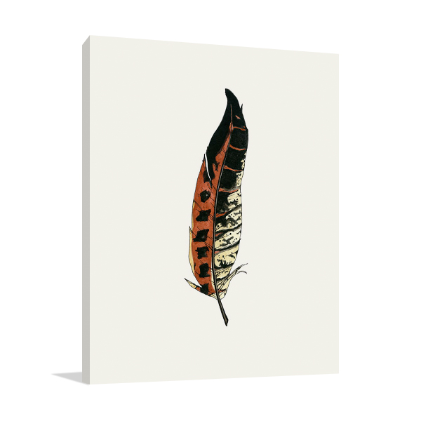Painted Feather C Wall Art Print