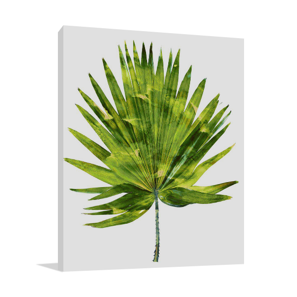 Palm IV Wall Art Print