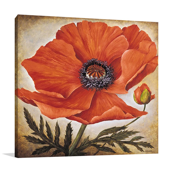 Poppy I Wall Art Print 