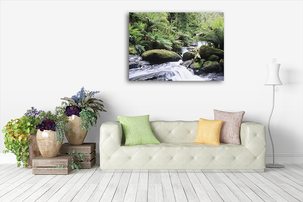 Canvas Print | Nature Photography