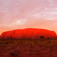 Red Paintings For Sale in Australia