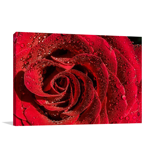 Red Rose Wall Art Print