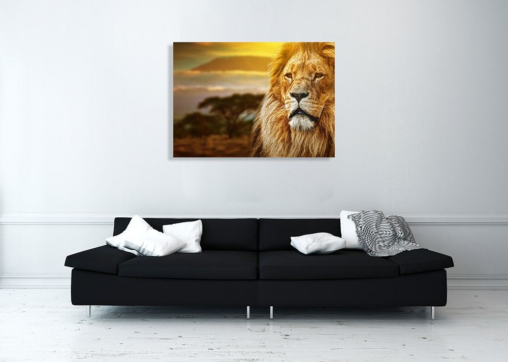 Landscape Photography Canvas Print