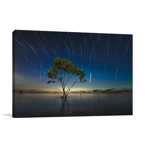 Shooting Stars Print on Canvas