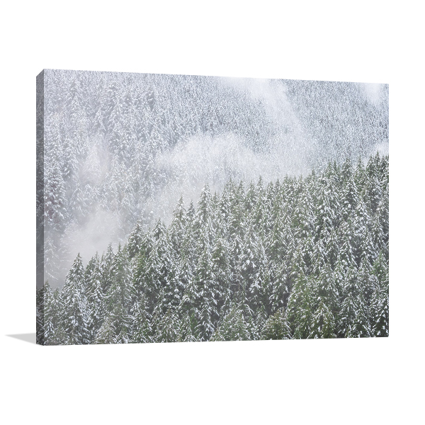 Snowy Trees Wall Art Print