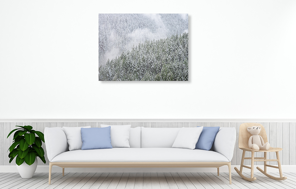 Nature Photography Canvas Print