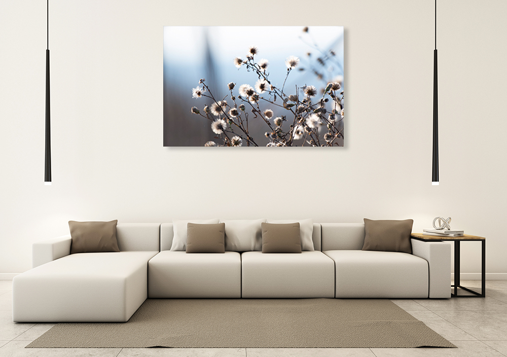 Online Australia Home Wall Print