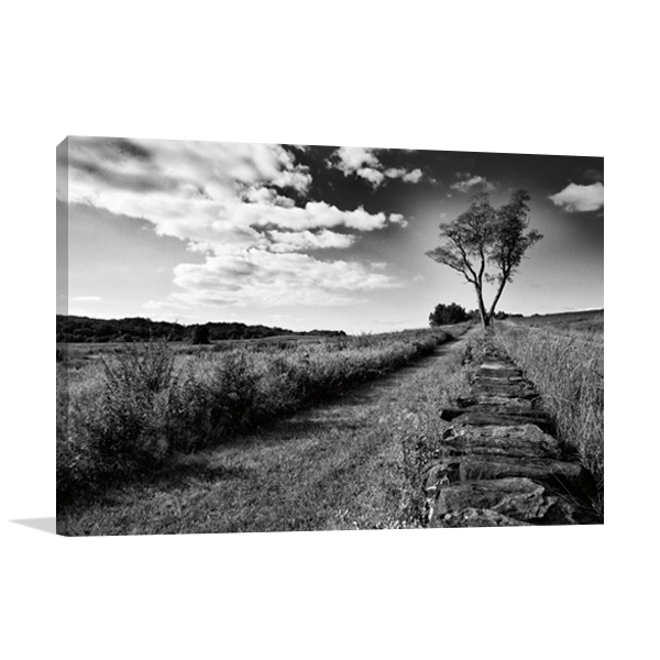 Stone Wall Wall Art Print