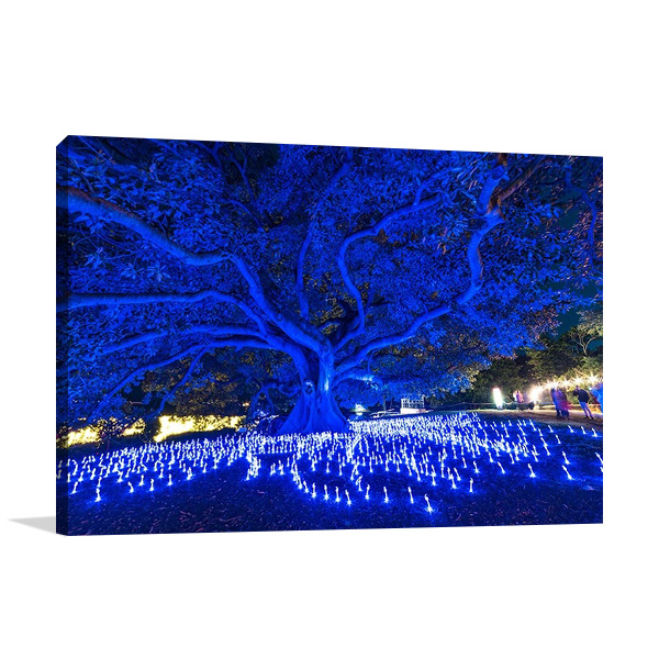 Sydney Blue Light Festival Australia