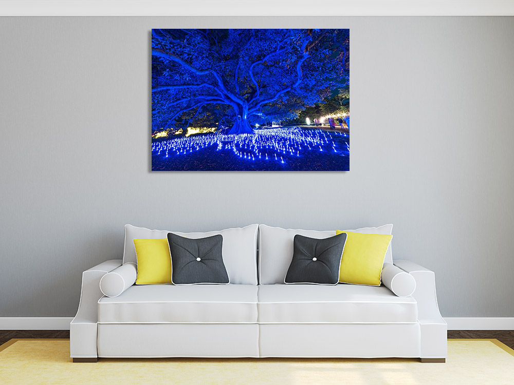 Blue Light Photography Canvas Print