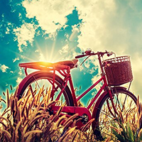 Transportation Wall Art Prints Australia Transportation Artwork Prints on Canvas