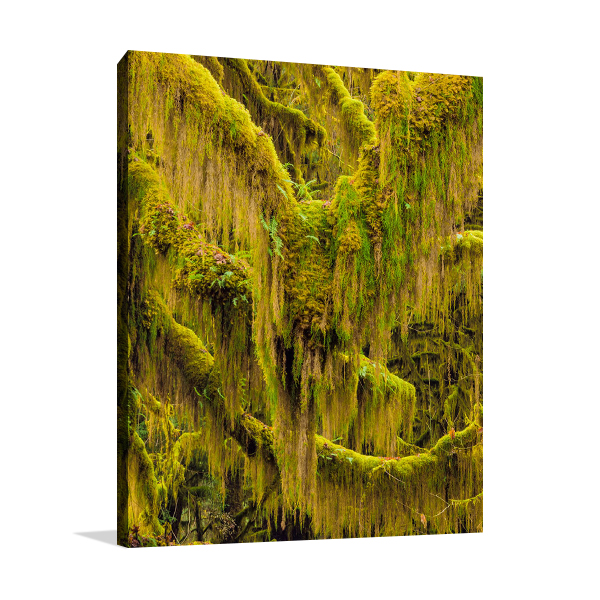 Trees VI Wall Art Print