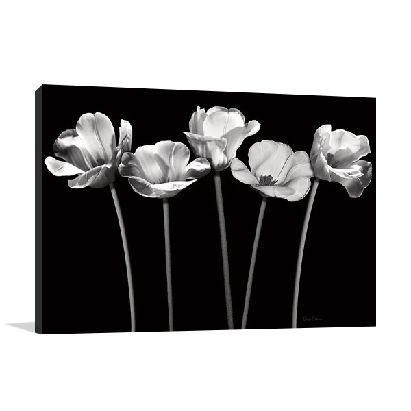 Tulips At Night Wall Art Print