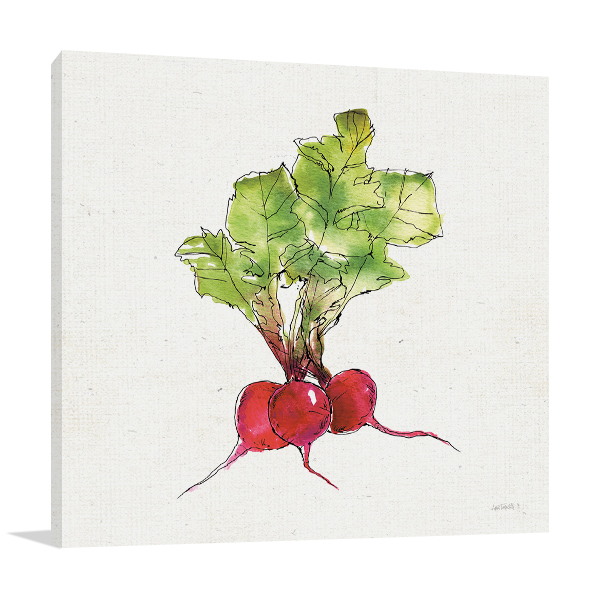 Veggie Market Radish II Wall Art Print